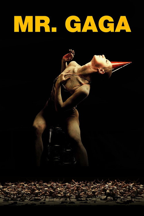 Movie poster for Mr. Gaga (2015)