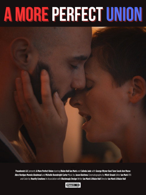 Movie poster for A More Perfect Union