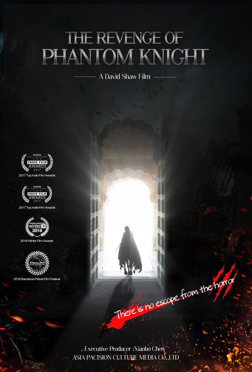 Movie poster for The Revenge of Phantom Knight (2018)
