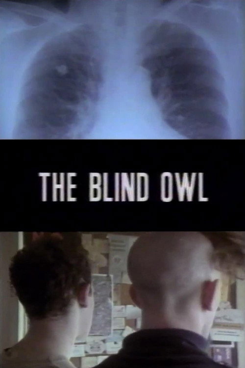 Movie poster for The Blind Owl (1992)