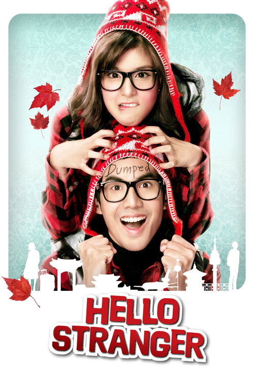 Movie poster for Hello Stranger (2010)