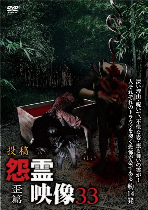 Movie poster for Posted Grudge Spirit Footage Vol.33: Distorted Edition (2017)