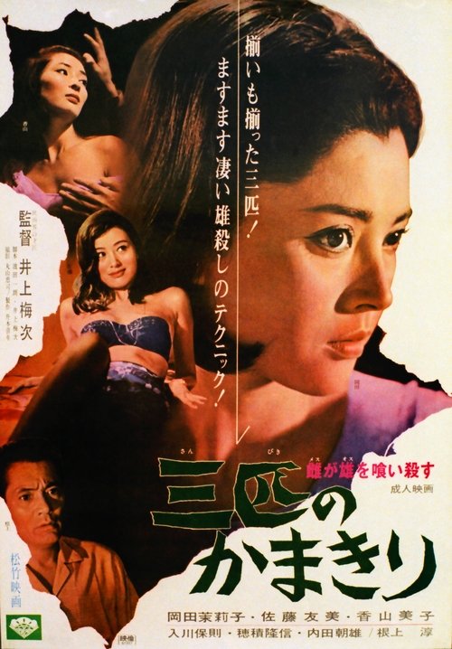 Movie poster for The Stronger Sex (1967)
