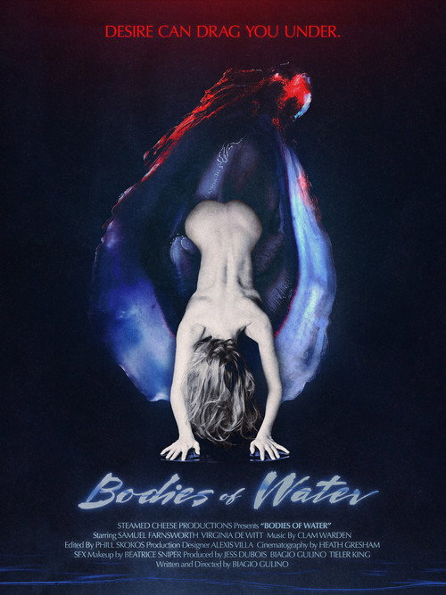 Movie poster for Bodies of Water