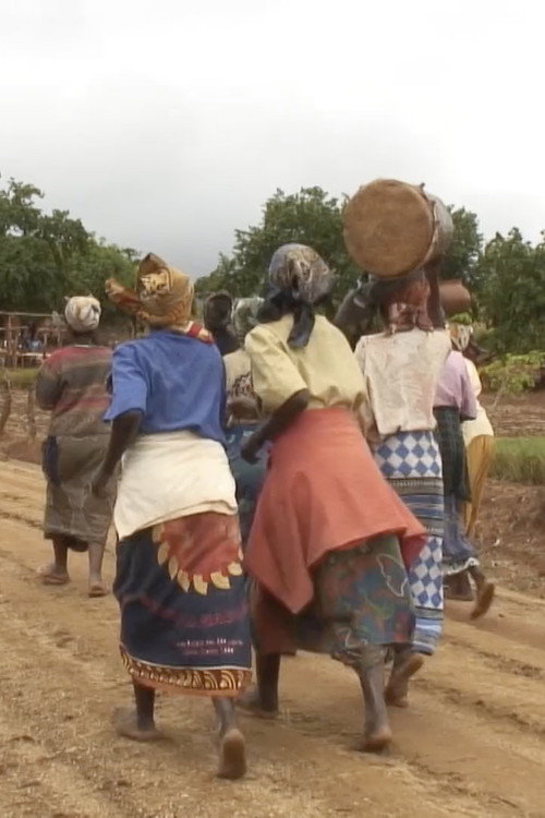 Movie poster for If Vagina Had Teeth: The Shona Rainmaking Ceremony in Western Mozambique (2009)