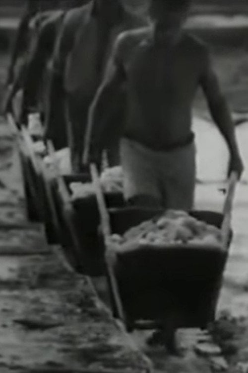 Movie poster for Salt (1965)