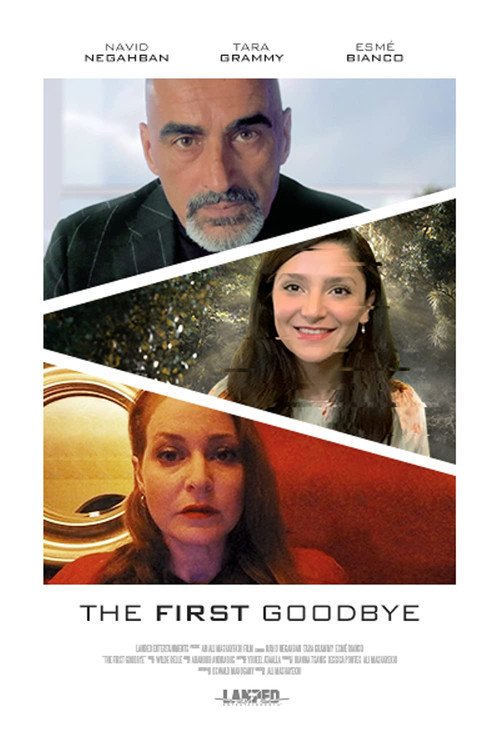 Movie poster for The First Goodbye (2021)