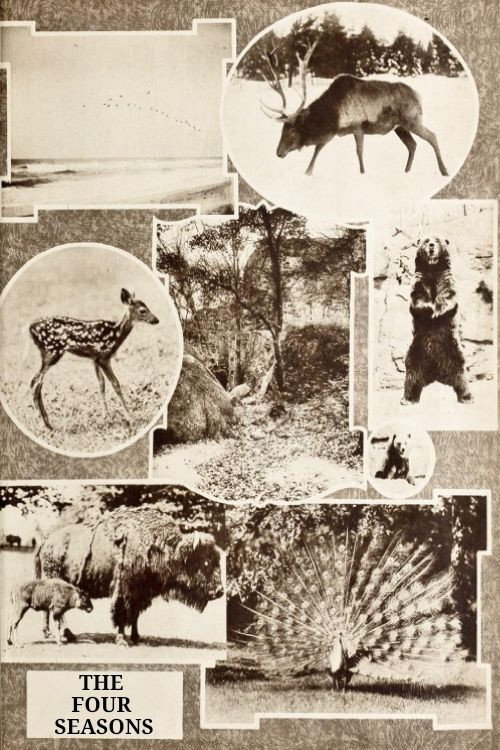 Movie poster for The Four Seasons (1921)