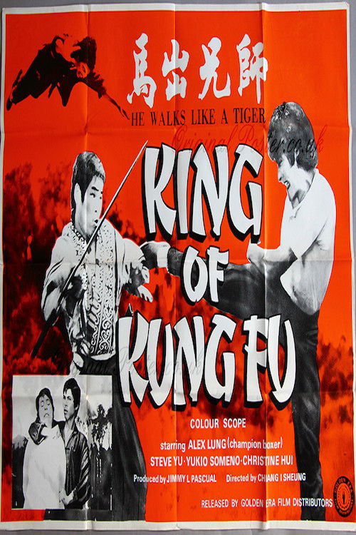 Movie poster for King of Kung Fu (1973)