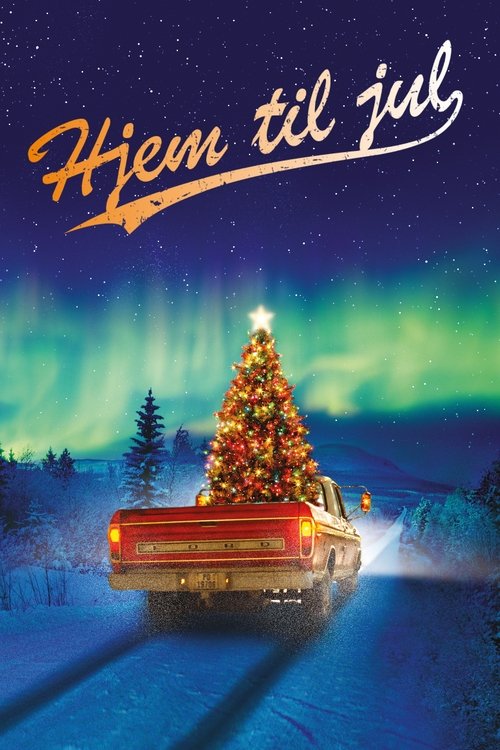 Movie poster for Home for Christmas (2010)