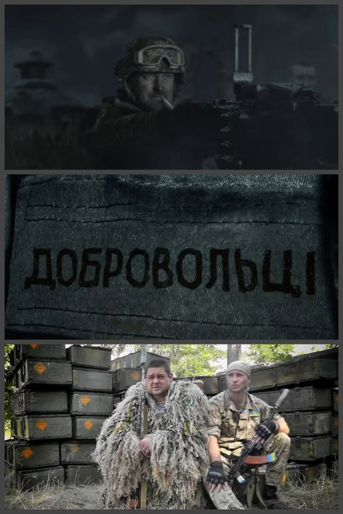 Movie poster for Volunteers (2015)