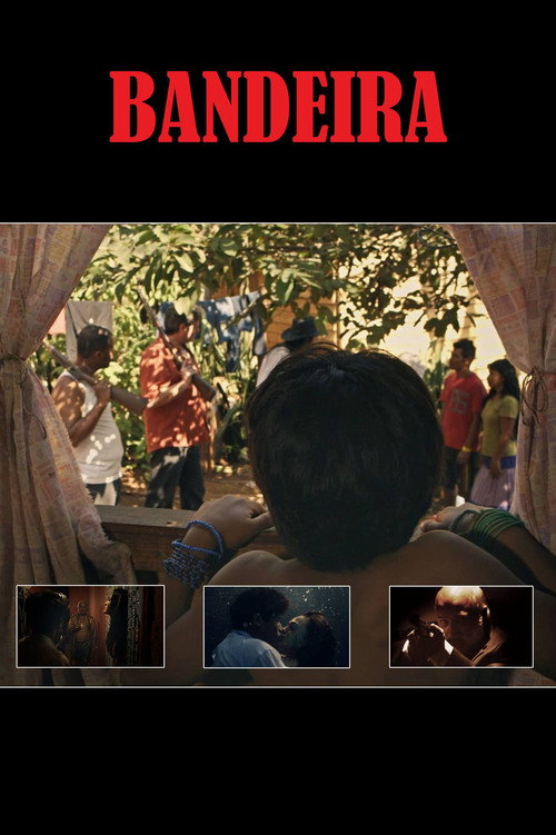 Movie poster for Four-Colored Banner (2016)