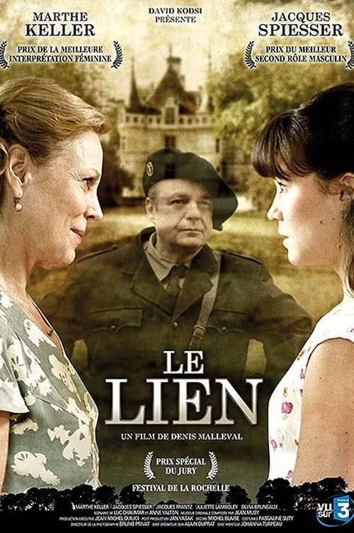 Movie poster for The Missing Granddaughter (2007)
