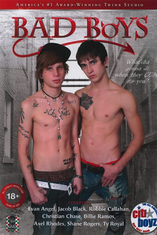 Movie poster for Citi Boyz 74: Bad Boys (2013)