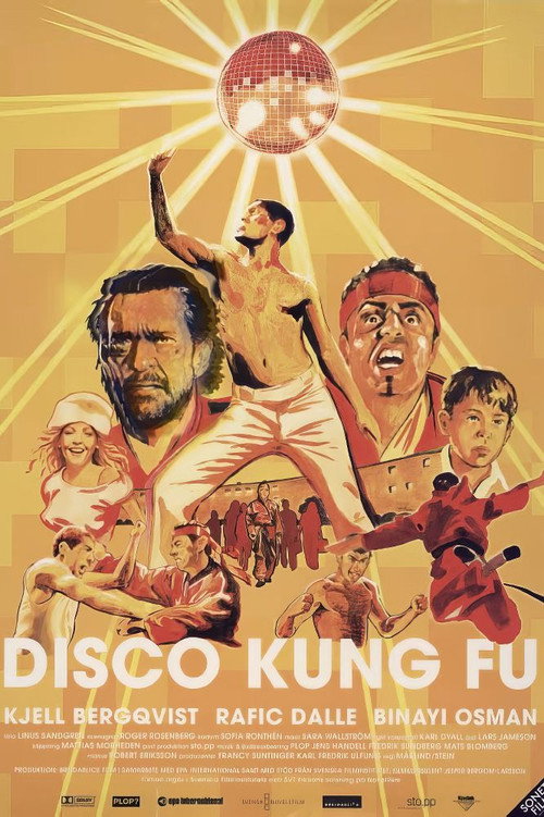 Movie poster for Disco Kung Fu (2002)