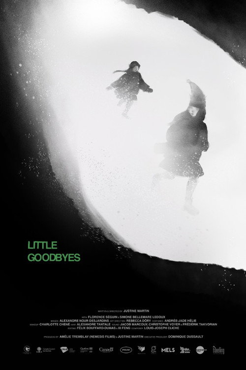 Movie poster for Little Goodbyes (2025)
