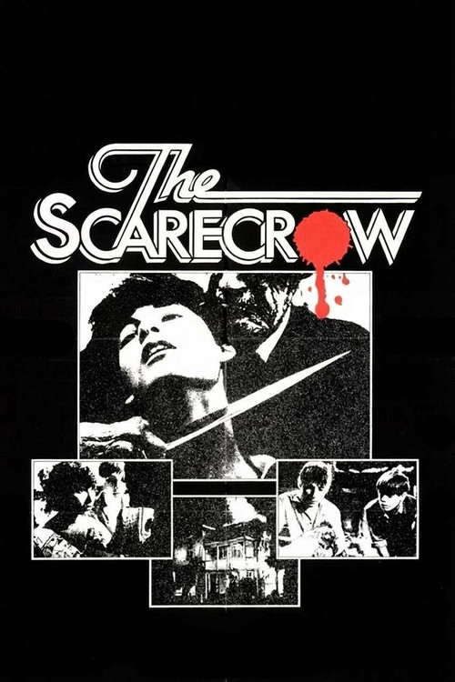 Movie poster for The Scarecrow (1982)