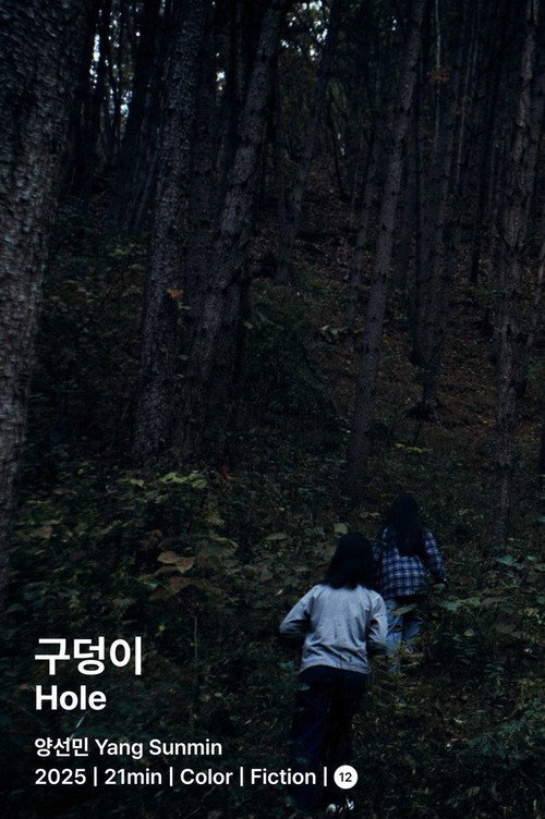 Movie poster for Hole (2025)