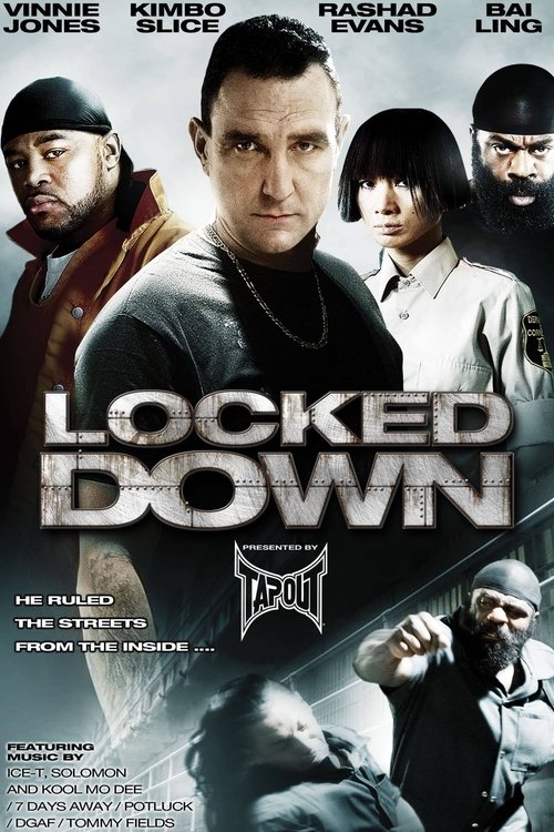 Movie poster for Locked Down (2010)