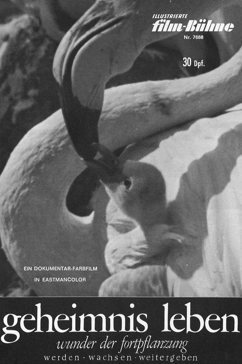 Movie poster for Geheimnis Leben - Wunder der Fortpflanzung (1966)