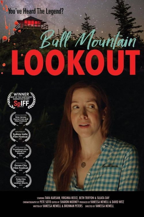 Movie poster for Bull Mountain Lookout (2018)