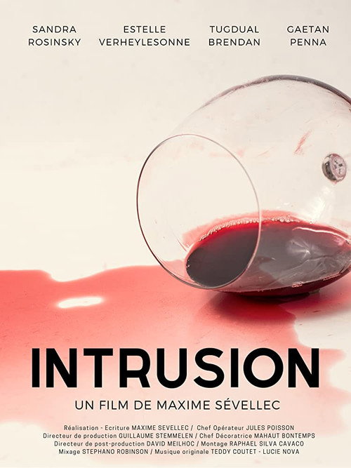 Movie poster for Intrusion (2020)