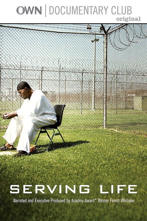 Movie poster for Serving Life (2011)