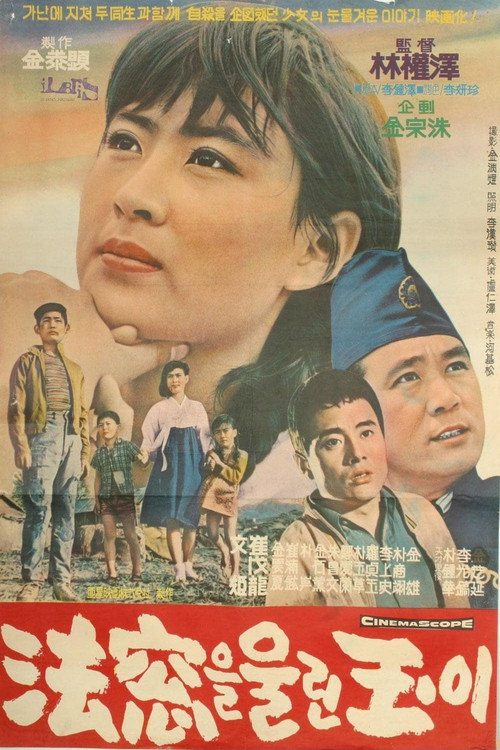 Movie poster for Ok-i Makes a Judge Cry (1966)