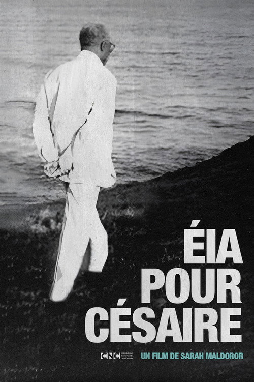 Movie poster for Papa Césaire (2009)