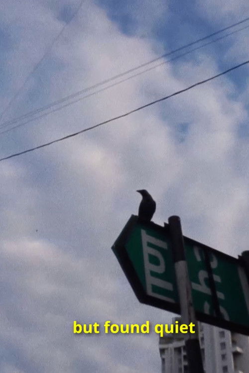 Why Do I Keep Looking at Myself? poster