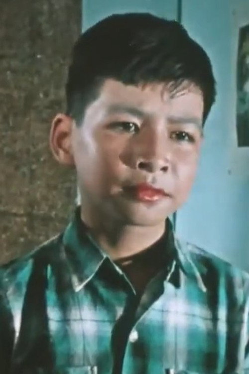 Photo of Hùng Sơn, Acting