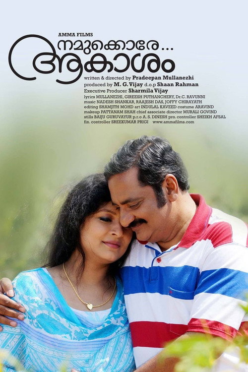 Movie poster for Namukkore Aakasham (2015)