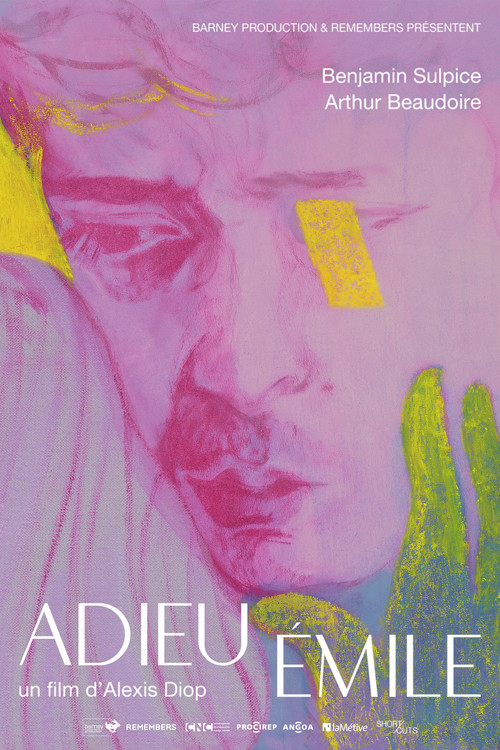 Movie poster for Farewell Emile (2024)