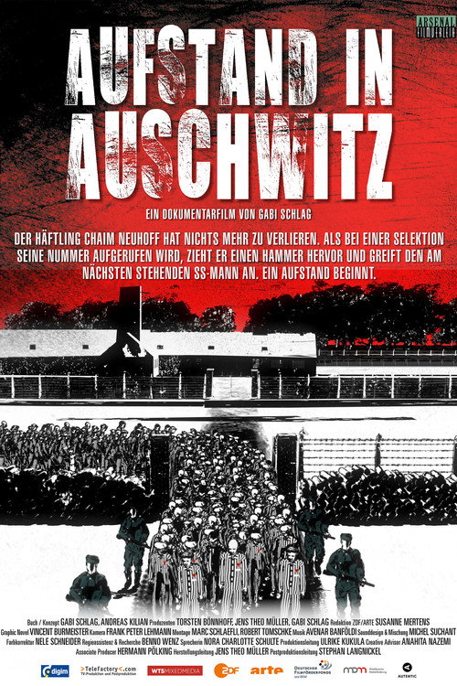 Movie poster for Aufstand in Auschwitz (2026)