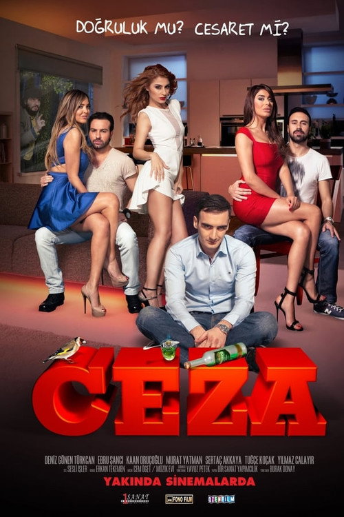 Movie poster for Ceza (2014)