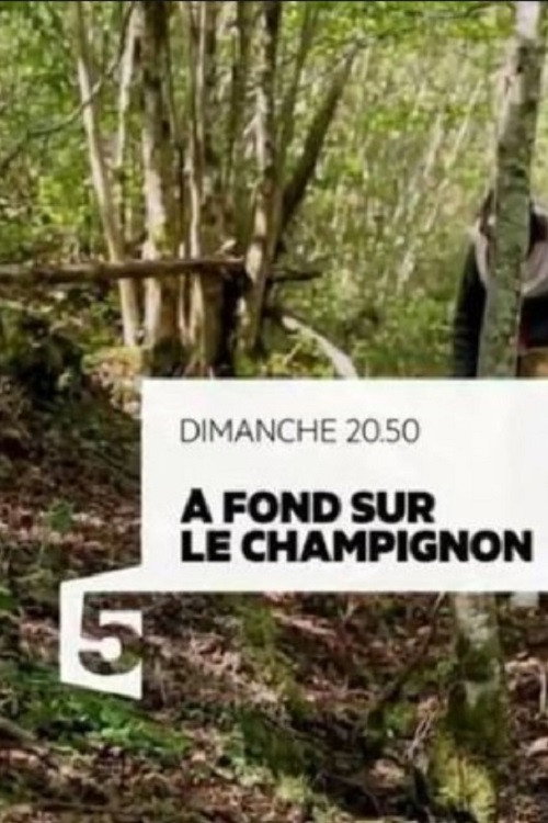 Movie poster for A fond sur le champignon (2017)