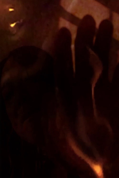 Movie poster for missing order (2017)