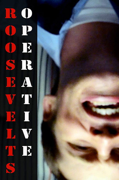 Movie poster for Roosevelt's Operative (2014)