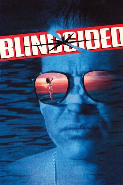 Movie poster for Blindsided (1993)