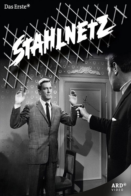 Stahlnetz poster