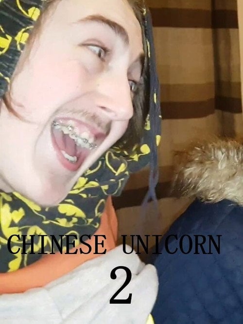 Movie poster for Chinese Unicorn 2: The Façade of Deceit (2017)