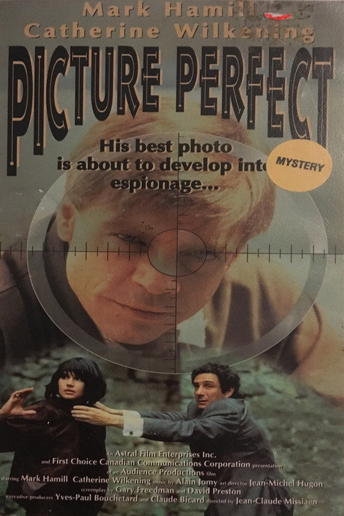 Movie poster for Picture Perfect (1993)