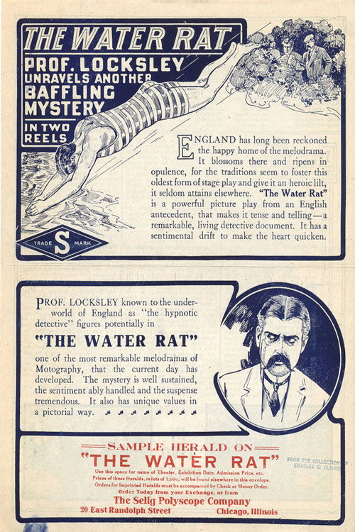 Movie poster for The Water Rat (1913)