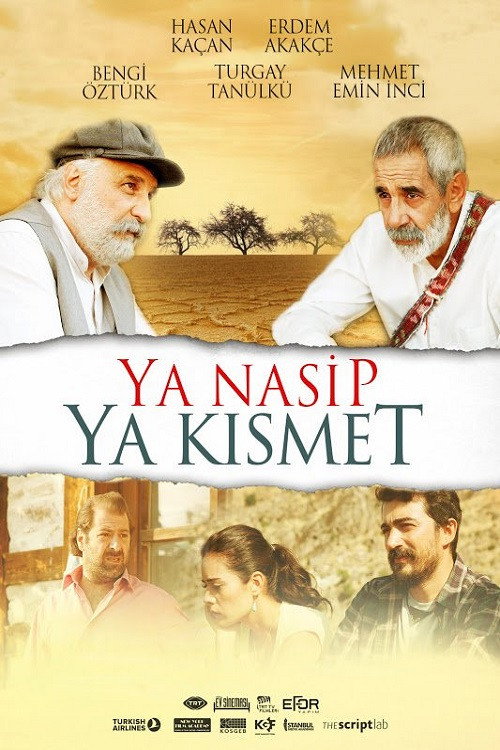 Movie poster for Ya Nasip Ya Kısmet (2015)