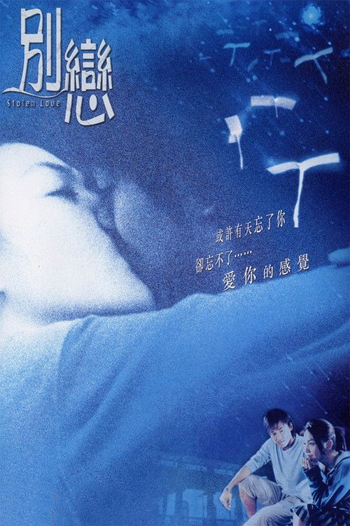 Movie poster for Stolen Love (2001)