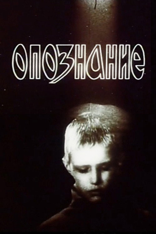 Movie poster for Identification (1991)