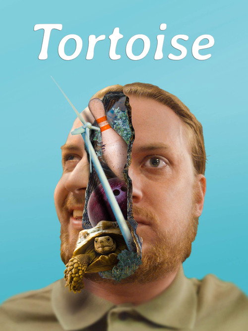 Movie poster for Tortoise (2018)