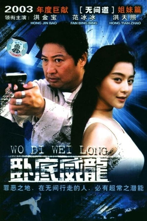 特警飞龙 poster