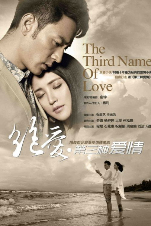 The Third Name of Love poster