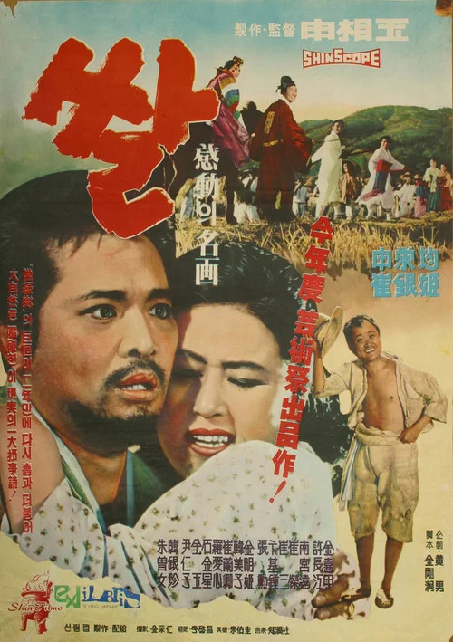 Movie poster for Rice (1963)
